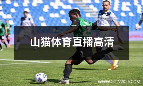 山猫体育直播高清
