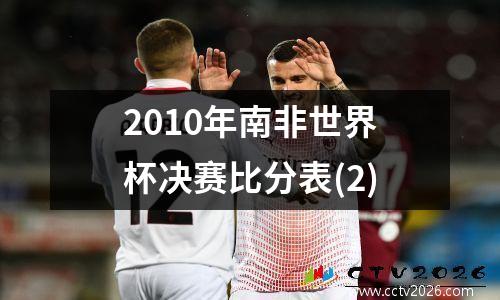 2010年南非世界杯决赛比分表(2)