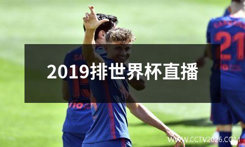 2019排世界杯直播
