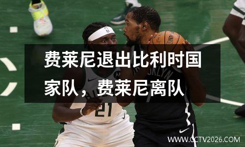 费莱尼退出比利时国家队，费莱尼离队