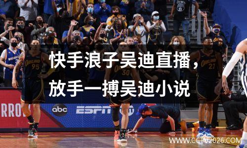 快手浪子吴迪直播，放手一搏吴迪小说