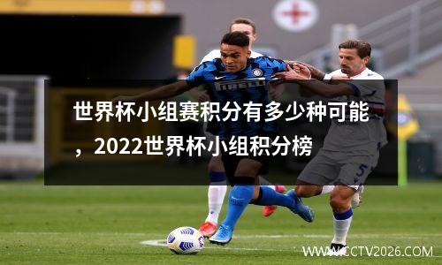 世界杯小组赛积分有多少种可能，2022世界杯小组积分榜