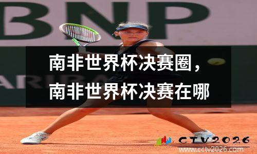 南非世界杯决赛圈，南非世界杯决赛在哪
