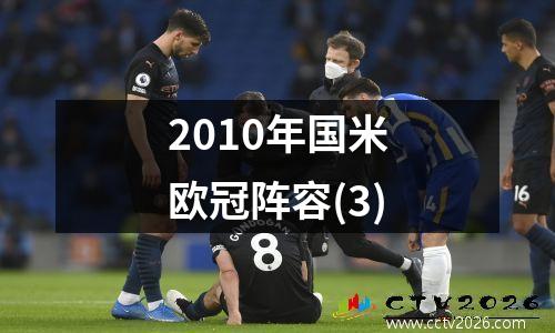 2010年国米欧冠阵容(3)