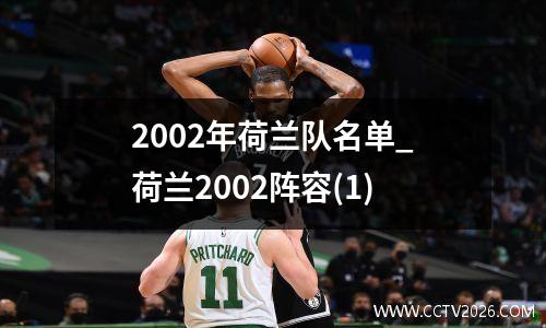 2002年荷兰队名单_荷兰2002阵容(1)
