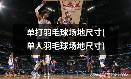 单打羽毛球场地尺寸(单人羽毛球场地尺寸)
