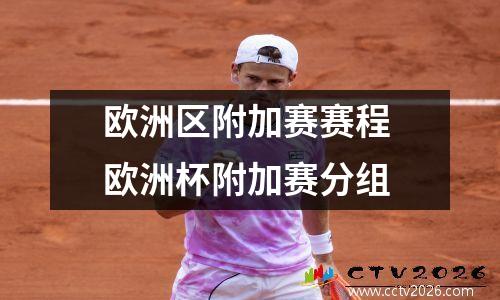 欧洲区附加赛赛程 欧洲杯附加赛分组