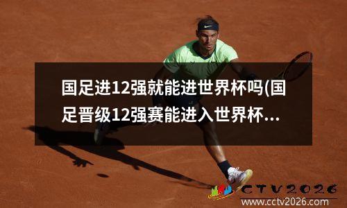 国足进12强就能进世界杯吗(国足晋级12强赛能进入世界杯几率)