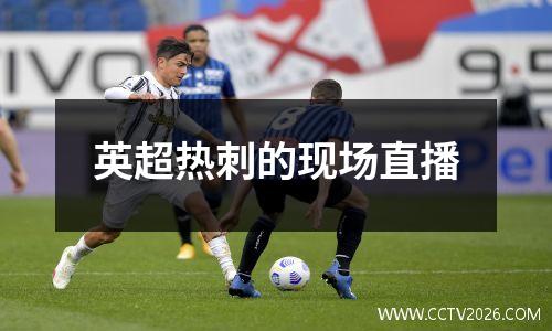 英超热刺的现场直播