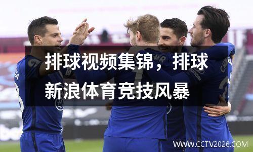 排球视频集锦，排球新浪体育竞技风暴