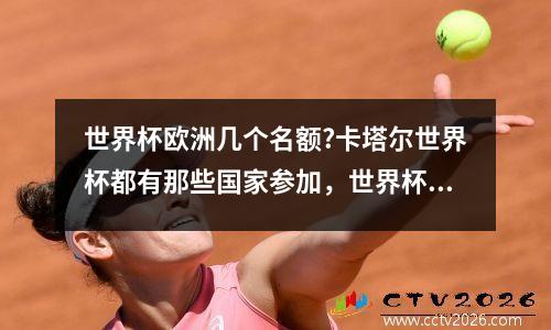 世界杯欧洲几个名额?卡塔尔世界杯都有那些国家参加，世界杯欧洲的名额
