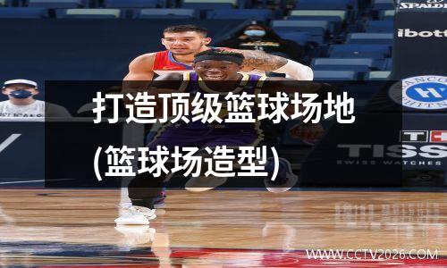 打造顶级篮球场地(篮球场造型)