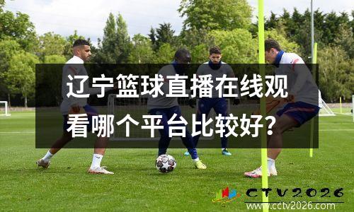 辽宁篮球直播在线观看哪个平台比较好？