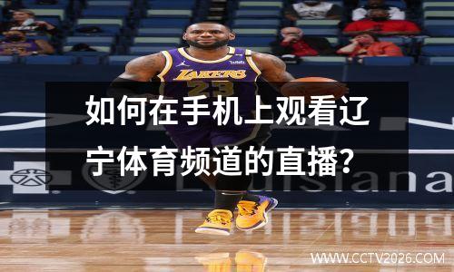 如何在手机上观看辽宁体育频道的直播？