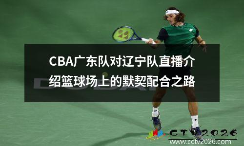 CBA广东队对辽宁队直播介绍篮球场上的默契配合之路
