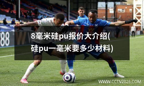 8毫米硅pu报价大介绍(硅pu一毫米要多少材料)