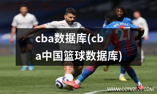 cba数据库(cba中国篮球数据库)
