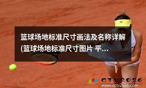 篮球场地标准尺寸画法及名称详解(篮球场地标准尺寸图片 平面图2018年)