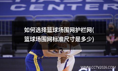 如何选择篮球场围网护栏网(篮球场围网标准尺寸是多少)
