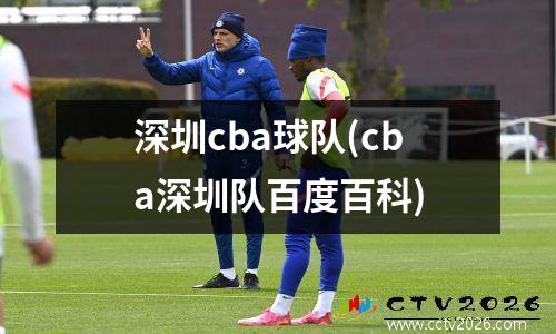深圳cba球队(cba深圳队百度百科)