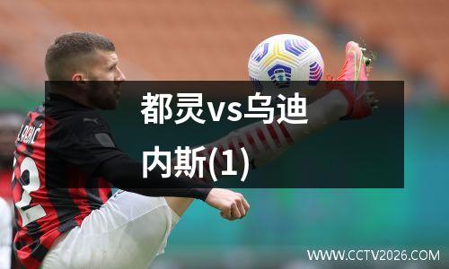都灵vs乌迪内斯(1)
