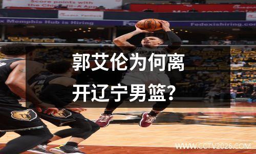 郭艾伦为何离开辽宁男篮？