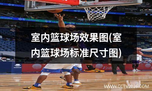 室内篮球场效果图(室内篮球场标准尺寸图)