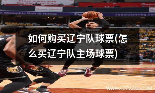 如何购买辽宁队球票(怎么买辽宁队主场球票)