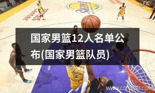 国家男篮12人名单公布(国家男篮队员)