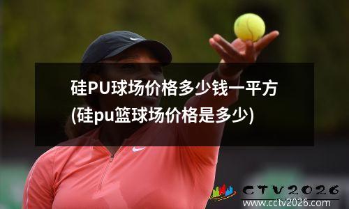 硅PU球场价格多少钱一平方(硅pu篮球场价格是多少)