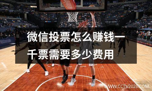 微信投票怎么赚钱一千票需要多少费用