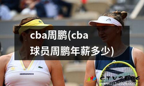 cba周鹏(cba球员周鹏年薪多少)