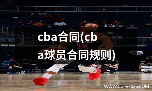cba合同(cba球员合同规则)