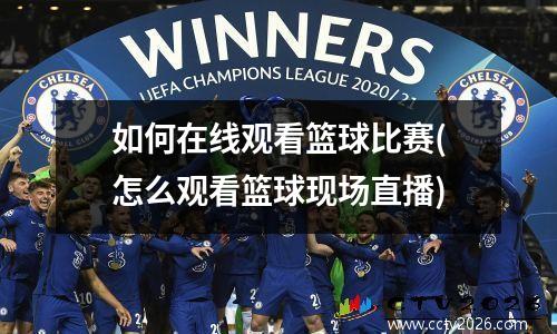 如何在线观看篮球比赛(怎么观看篮球现场直播)