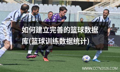 如何建立完善的篮球数据库(篮球训练数据统计)