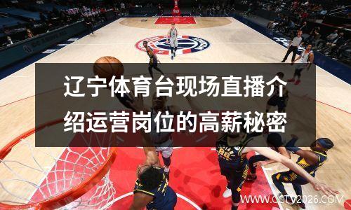 辽宁体育台现场直播介绍运营岗位的高薪秘密