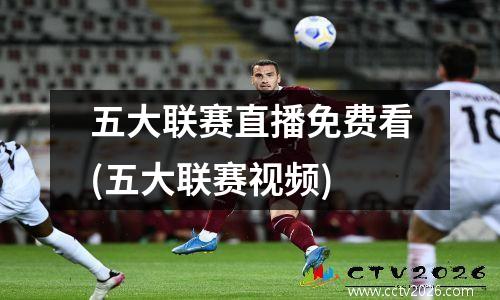五大联赛直播免费看(五大联赛视频)