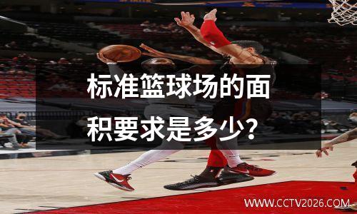 标准篮球场的面积要求是多少？