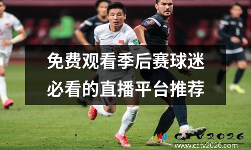 免费观看季后赛球迷必看的直播平台推荐