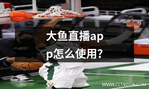 大鱼直播app怎么使用？