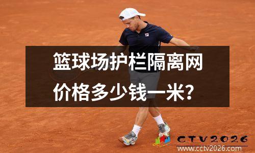 篮球场护栏隔离网价格多少钱一米？