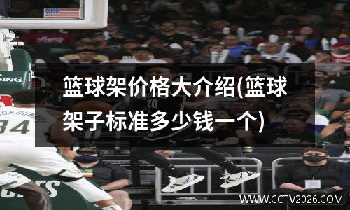 篮球架价格大介绍(篮球架子标准多少钱一个)