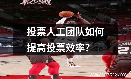 投票人工团队如何提高投票效率？