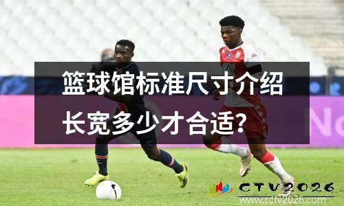 篮球馆标准尺寸介绍长宽多少才合适？