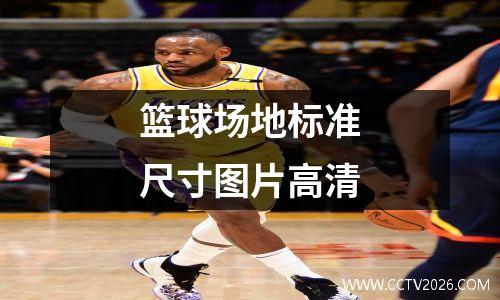 篮球场地标准尺寸图片高清