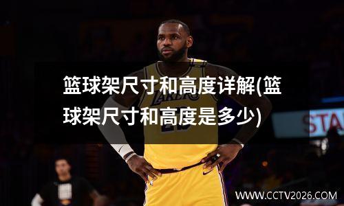 篮球架尺寸和高度详解(篮球架尺寸和高度是多少)