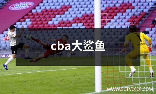 cba大鲨鱼