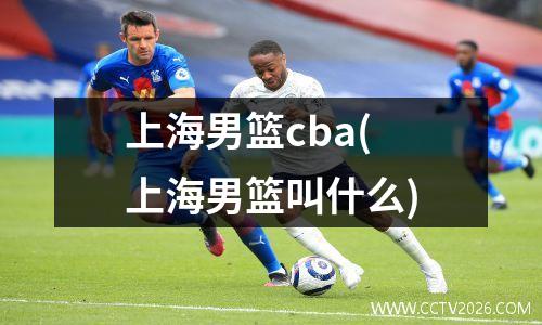 上海男篮cba(上海男篮叫什么)