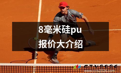 8毫米硅pu报价大介绍