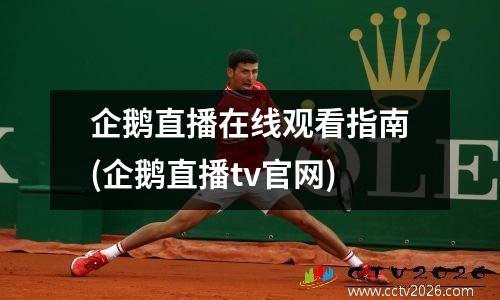企鹅直播在线观看指南(企鹅直播tv官网)